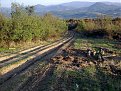 Натиснете снимката за да я уголемите

Име:Image074.jpg
Прегледи:703
Размер:295.2 КБ
ID:5072867