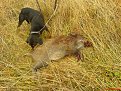 Натиснете снимката за да я уголемите

Име:DSC00002.jpg
Прегледи:265
Размер:311.2 КБ
ID:5072889