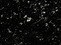 Натиснете снимката за да я уголемите

Име:cc 017a.jpg
Прегледи:111
Размер:79.4 КБ
ID:5073011