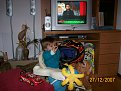 Натиснете снимката за да я уголемите

Име:100_0841.jpg
Прегледи:127
Размер:137.8 КБ
ID:5073026