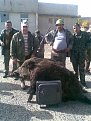 Натиснете снимката за да я уголемите

Име:Изображение009.jpg
Прегледи:302
Размер:101.1 КБ
ID:5073073