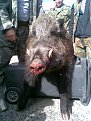 Натиснете снимката за да я уголемите

Име:Изображение006.jpg
Прегледи:274
Размер:108.8 КБ
ID:5073079