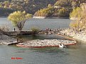 Натиснете снимката за да я уголемите

Име:2_11_08 080.jpg
Прегледи:147
Размер:227.7 КБ
ID:5073271