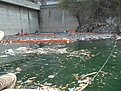 Натиснете снимката за да я уголемите

Име:DSC03847.jpg
Прегледи:82
Размер:204.3 КБ
ID:5073443