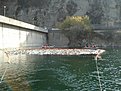 Натиснете снимката за да я уголемите

Име:DSC03862.jpg
Прегледи:66
Размер:173.3 КБ
ID:5073448