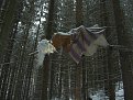 Натиснете снимката за да я уголемите

Име:VRATZA 033.jpg
Прегледи:136
Размер:206.2 КБ
ID:5073856