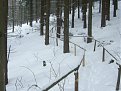 Натиснете снимката за да я уголемите

Име:VRATZA 028.jpg
Прегледи:130
Размер:118.2 КБ
ID:5073857