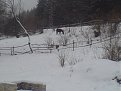 Натиснете снимката за да я уголемите

Име:VRATZA 073.jpg
Прегледи:130
Размер:65.6 КБ
ID:5073859