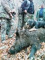 Натиснете снимката за да я уголемите

Име:IMAG0390.jpg
Прегледи:235
Размер:147.3 КБ
ID:5073895