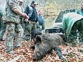 Натиснете снимката за да я уголемите

Име:IMAG0391.jpg
Прегледи:202
Размер:234.6 КБ
ID:5073896