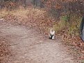 Натиснете снимката за да я уголемите

Име:9.jpg
Прегледи:117
Размер:246.1 КБ
ID:5073922