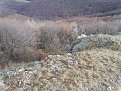 Натиснете снимката за да я уголемите

Име:S8300554.jpg
Прегледи:137
Размер:272.8 КБ
ID:5073960