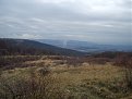 Натиснете снимката за да я уголемите

Име:S8300557.jpg
Прегледи:139
Размер:125.1 КБ
ID:5073963