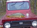 Натиснете снимката за да я уголемите

Име:12112008813.jpg
Прегледи:272
Размер:201.3 КБ
ID:5074235