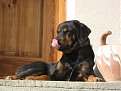 Натиснете снимката за да я уголемите

Име:niva 010.jpg
Прегледи:321
Размер:135.9 КБ
ID:5074495