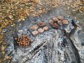 Натиснете снимката за да я уголемите

Име:DSC04032.jpg
Прегледи:148
Размер:275.7 КБ
ID:5074634