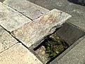 Натиснете снимката за да я уголемите

Име:13052008551.jpg
Прегледи:120
Размер:283.6 КБ
ID:5074738