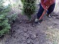 Натиснете снимката за да я уголемите

Име:fidanka1.jpg
Прегледи:78
Размер:145.8 КБ
ID:5076205