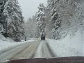 Натиснете снимката за да я уголемите

Име:P1020521.jpg
Прегледи:191
Размер:104.9 КБ
ID:5076241