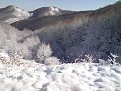 Натиснете снимката за да я уголемите

Име:DSC00844.jpg
Прегледи:130
Размер:189.4 КБ
ID:5076297