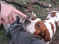 Натиснете снимката за да я уголемите

Име:IMG_1923.jpg
Прегледи:145
Размер:134.7 КБ
ID:5076355