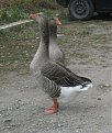 Натиснете снимката за да я уголемите

Име:IMG_2173.jpg
Прегледи:131
Размер:115.1 КБ
ID:5076376