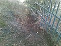 Натиснете снимката за да я уголемите

Име:30112008(004).jpg
Прегледи:158
Размер:190.4 КБ
ID:5076994