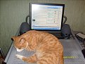 Натиснете снимката за да я уголемите

Име:S7301091.JPG
Прегледи:329
Размер:380.7 КБ
ID:5077179