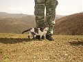 Натиснете снимката за да я уголемите

Име:Picture 123.jpg
Прегледи:392
Размер:193.6 КБ
ID:5077208