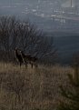 Натиснете снимката за да я уголемите

Име:SURNImc.jpg
Прегледи:340
Размер:45.2 КБ
ID:5077301