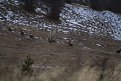 Натиснете снимката за да я уголемите

Име:surni1m.jpg
Прегледи:345
Размер:283.3 КБ
ID:5077302