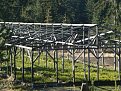 Натиснете снимката за да я уголемите

Име:DSC04304.jpg
Прегледи:94
Размер:211.9 КБ
ID:5077311