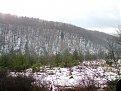 Натиснете снимката за да я уголемите

Име:DSC00839.JPG
Прегледи:466
Размер:160.3 КБ
ID:5077336
