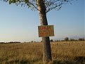 Натиснете снимката за да я уголемите

Име:DSC00788.jpg
Прегледи:2566
Размер:131.8 КБ
ID:5077620