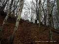 Натиснете снимката за да я уголемите

Име:DSCI0017.JPG
Прегледи:430
Размер:517.7 КБ
ID:5077688