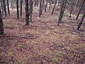 Натиснете снимката за да я уголемите

Име:IMGP3904.jpg
Прегледи:134
Размер:185.7 КБ
ID:5077765