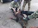 Натиснете снимката за да я уголемите

Име:DSC00283.jpg
Прегледи:206
Размер:284.8 КБ
ID:5078085