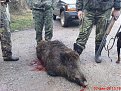 Натиснете снимката за да я уголемите

Име:DSC00287.jpg
Прегледи:204
Размер:226.9 КБ
ID:5078087