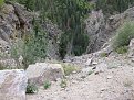 Натиснете снимката за да я уголемите

Име:IMG_0046.jpg
Прегледи:236
Размер:217.6 КБ
ID:5078354