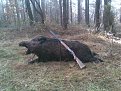Натиснете снимката за да я уголемите

Име:Изображение041.jpg
Прегледи:257
Размер:200.5 КБ
ID:5078362