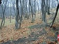 Натиснете снимката за да я уголемите

Име:S8300784.jpg
Прегледи:155
Размер:239.3 КБ
ID:5078499