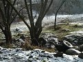 Натиснете снимката за да я уголемите

Име:DSC04757.jpg
Прегледи:93
Размер:239.6 КБ
ID:5078622