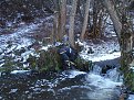 Натиснете снимката за да я уголемите

Име:DSC04767.jpg
Прегледи:93
Размер:264.9 КБ
ID:5078626