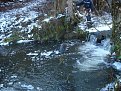 Натиснете снимката за да я уголемите

Име:DSC04778.jpg
Прегледи:85
Размер:244.3 КБ
ID:5078628
