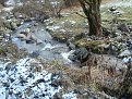 Натиснете снимката за да я уголемите

Име:DSC04794.jpg
Прегледи:95
Размер:251.7 КБ
ID:5078633