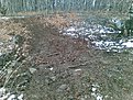 Натиснете снимката за да я уголемите

Име:Изображение033.jpg
Прегледи:111
Размер:209.7 КБ
ID:5078713