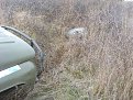 Натиснете снимката за да я уголемите

Име:SL273372.jpg
Прегледи:401
Размер:326.0 КБ
ID:5080150