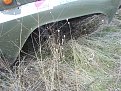 Натиснете снимката за да я уголемите

Име:SL273374.jpg
Прегледи:454
Размер:294.3 КБ
ID:5080155