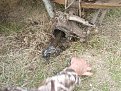 Натиснете снимката за да я уголемите

Име:SL273382.jpg
Прегледи:481
Размер:340.0 КБ
ID:5080164