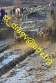 Натиснете снимката за да я уголемите

Име:IMG_9053.jpg
Прегледи:73
Размер:22.6 КБ
ID:5080210